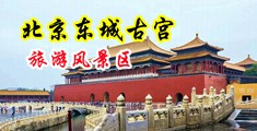 大鸡巴好粗插死你用力顶在线观看中国北京-东城古宫旅游风景区